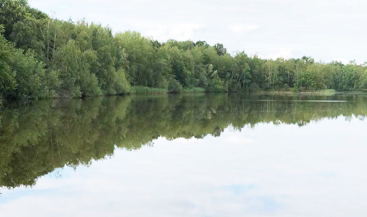 Omgeving Betaalwater Oploo Karpervissen Glory Betaalwater Oploo 1