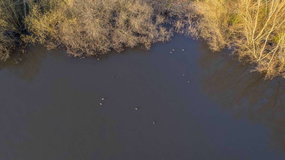 Karperdroom Extreme Luchtfoto 8 Karperdroom Extreme 8