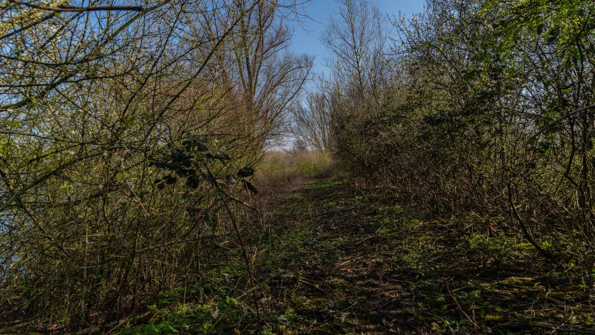 Karperdroom Extreme Paden Karperdroom Extreme Paden