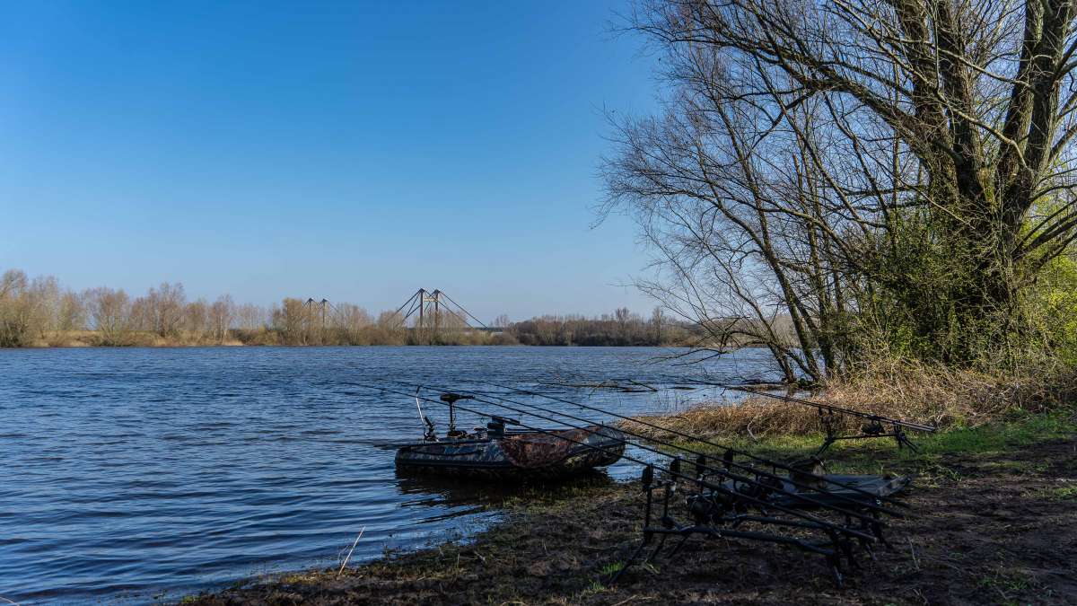 Karperdroom Extreme Stek 1 2 Extreme 1 2