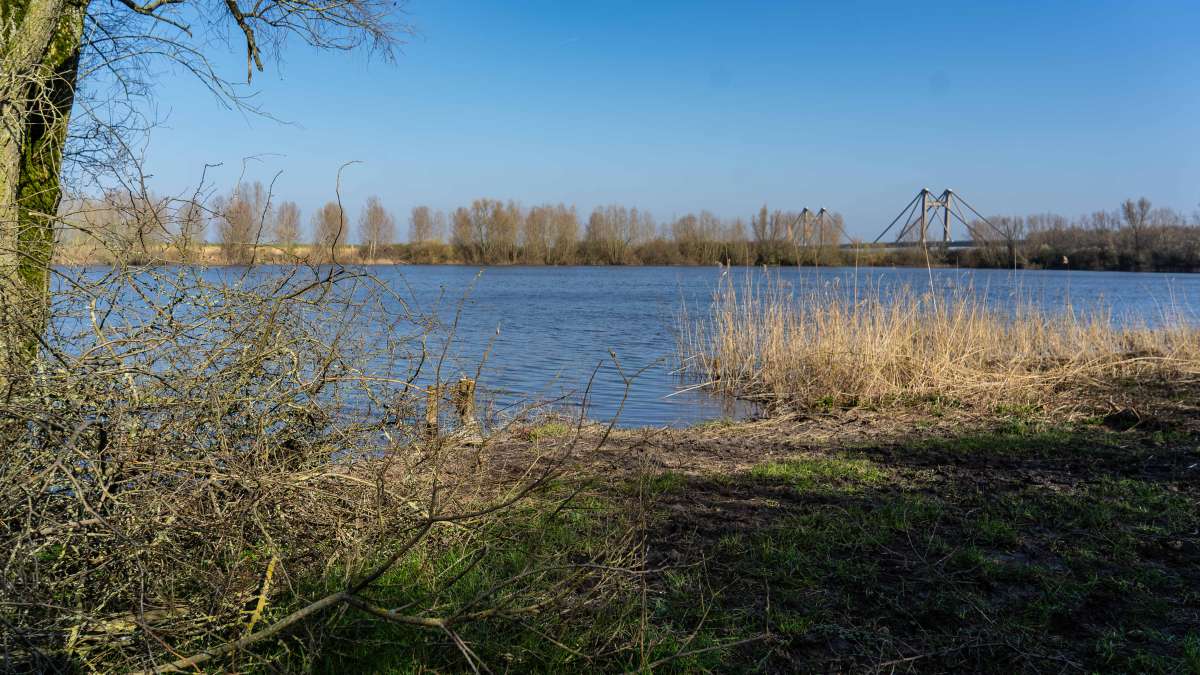 Karperdroom Extreme Stek3 1 Karperdroom Extreme 1