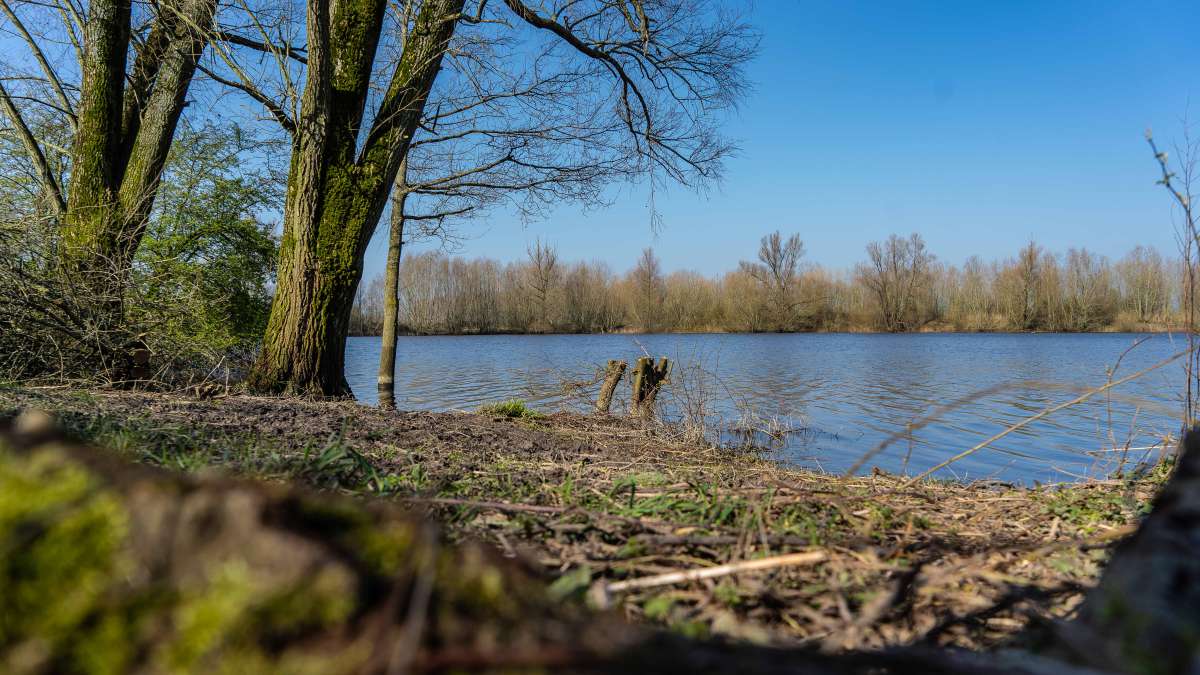Karperdroom Extreme Stek3 Uitzicht Karperdroom Stek3 Uitzicht