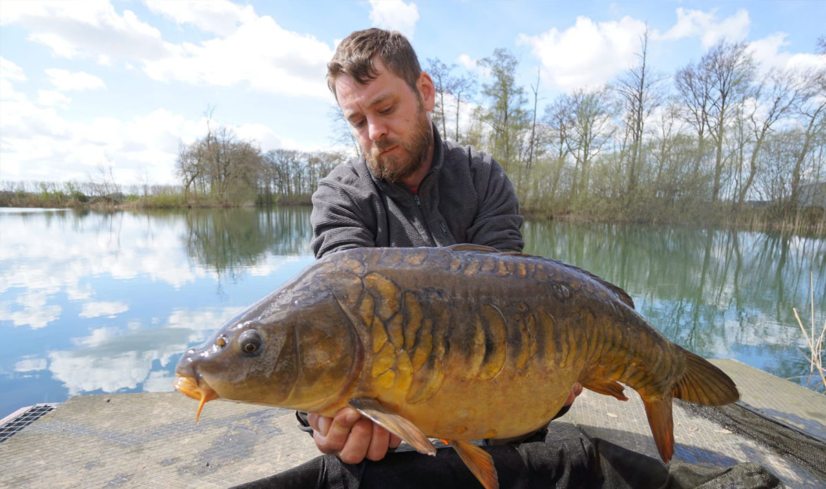 Karpervissen Zevenaar Betaalwater Karperdroom Xxl Zevenaar Karperdroom 11