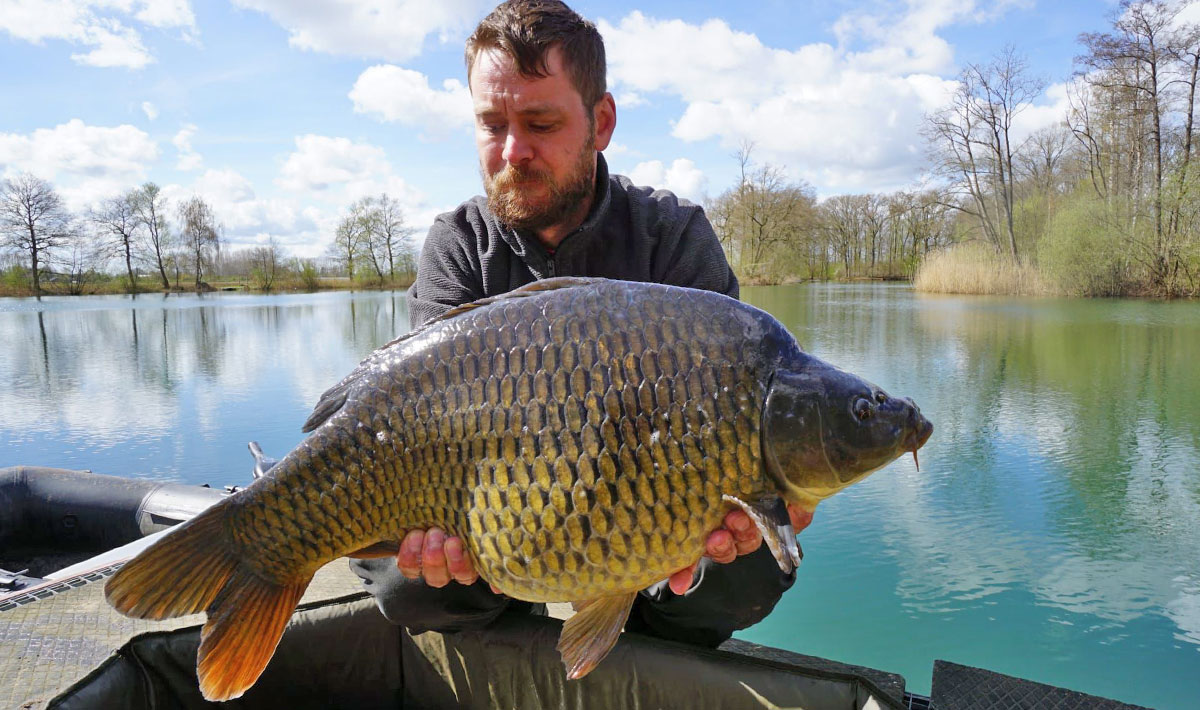 Karpervissen Zevenaar Betaalwater Karperdroom Xxl Karpervissen Karperdroom 14