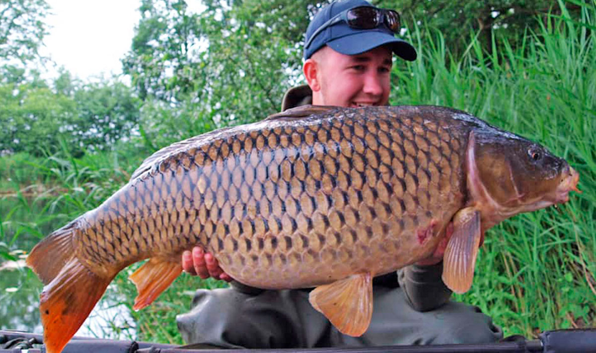 Karpervissen Zevenaar Betaalwater Karperdroom Xxl Karpervissen Karperdroom 27