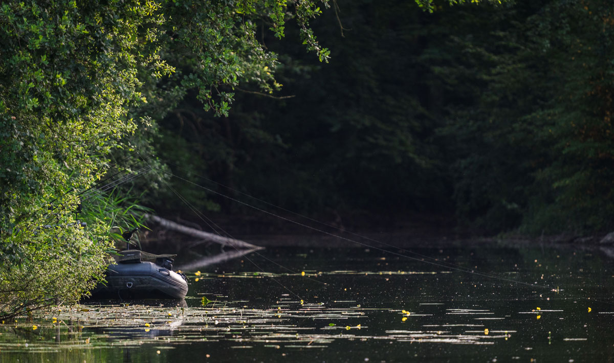 Omgeving Karpervissen Zevenaar Betaalwater Karperdroom Omgeving Karpervissen Betaalwater