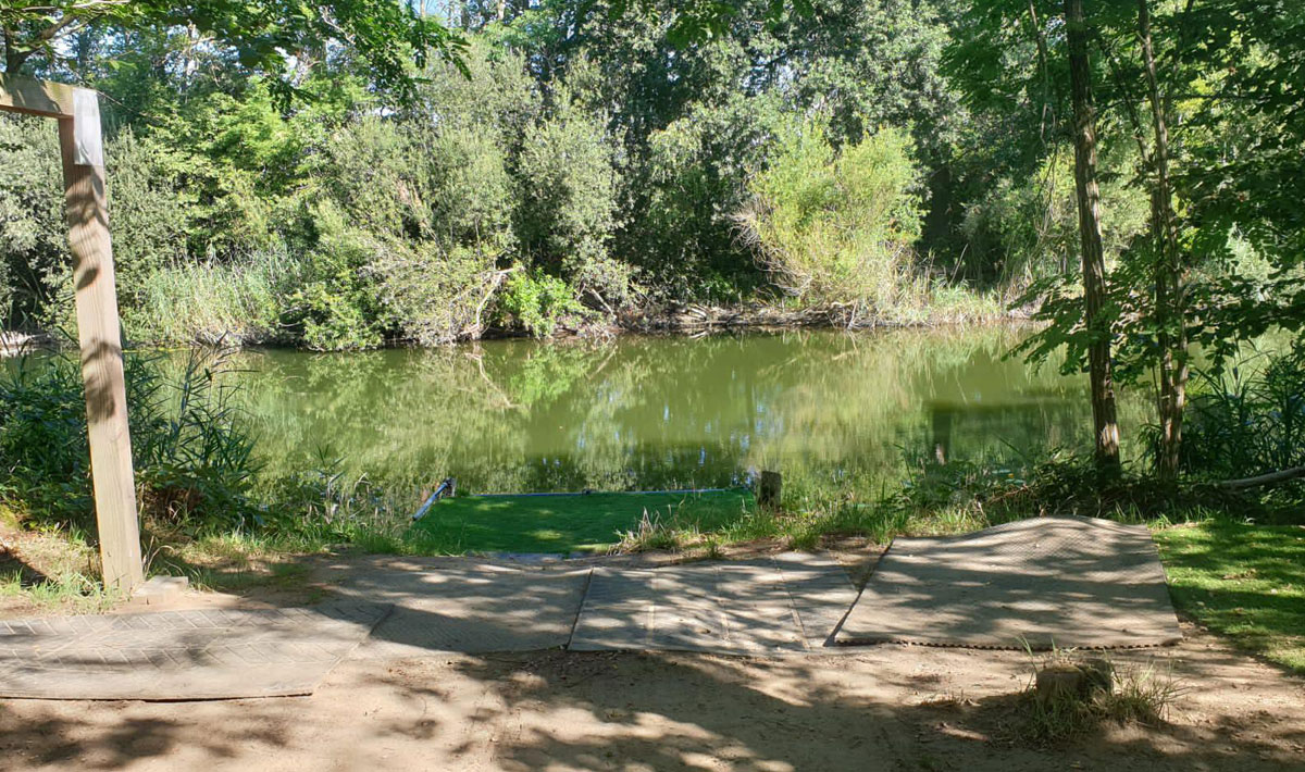 Omgeving Karpervissen Zevenaar Betaalwater Karperdroom Zevenaar Karperdroom Xxl
