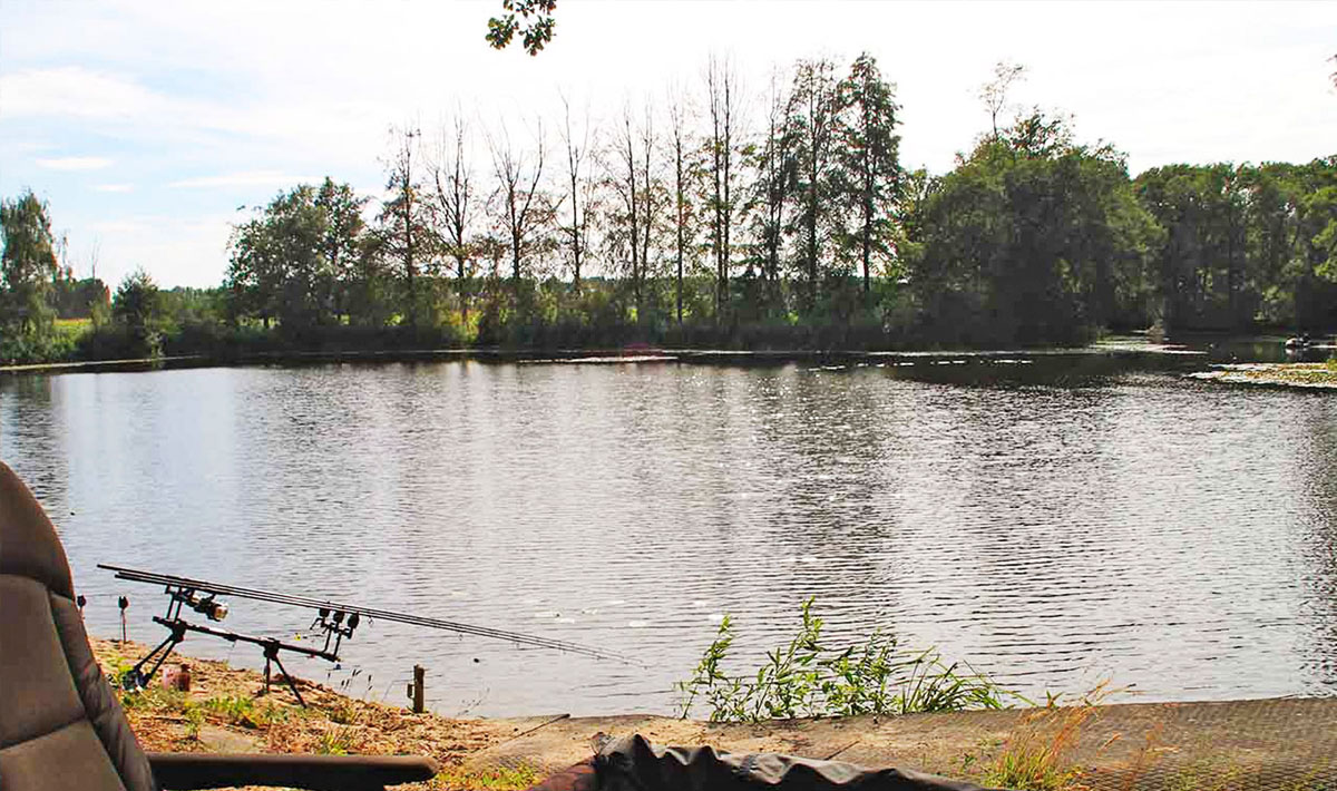 Omgeving Karpervissen Zevenaar Betaalwater Karperdroom Omgeving Karpervissen 13
