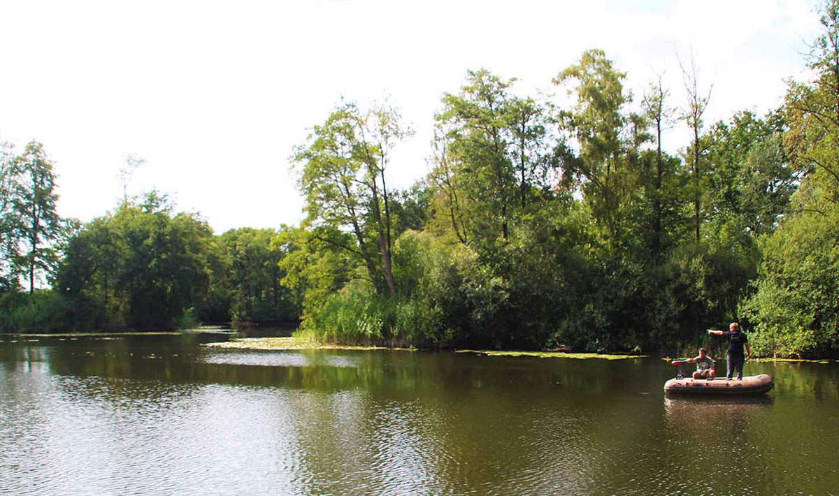 Omgeving Karpervissen Zevenaar Betaalwater Karperdroom Zevenaar Xxl 14
