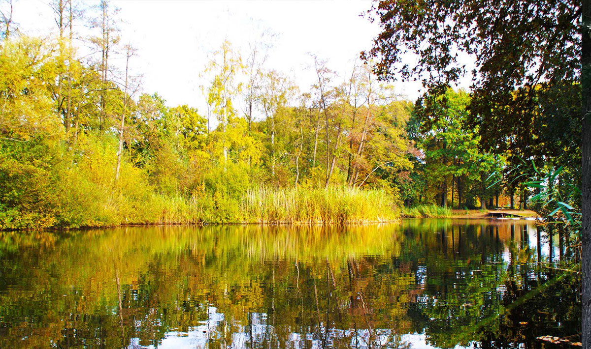 Omgeving Karpervissen Zevenaar Betaalwater Karperdroom Omgeving Karpervissen Karperdroom