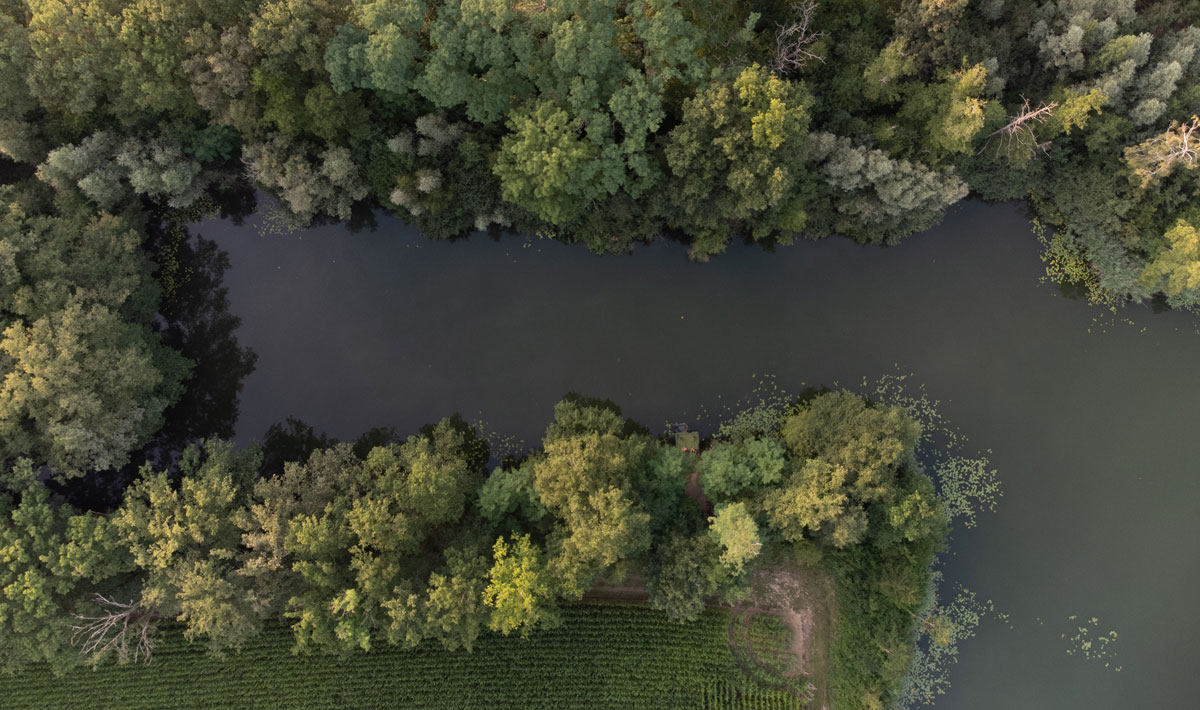 Omgeving Karpervissen Zevenaar Betaalwater Karperdroom Omgeving Betaalwater Karperdroom