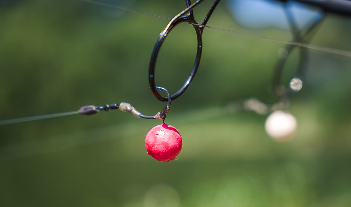 Omgeving Karpervissen Zevenaar Betaalwater Karperdroom Omgeving Xxl 5