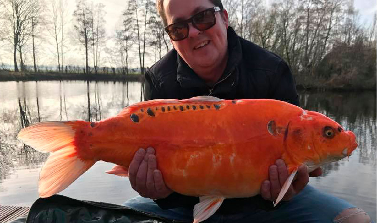 Karperdroom Herpen Karpervisvakantie Nederland Accommodatie Herpen Karpervisvakantie Nederland