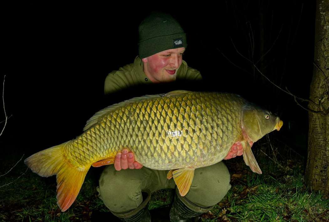 Little Carpvalley 2 Little Carpvalley 2