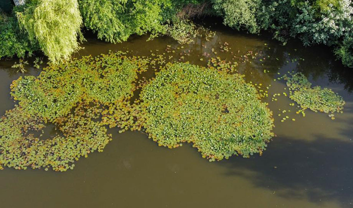 Omgeving Karper Little Carpvalley Karpervissen Karpervissen Betaalwater 8