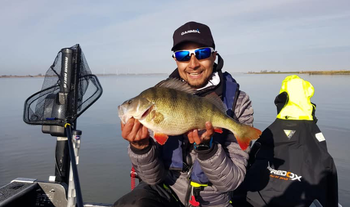 Nauta Visgids Roofvissen Nederland Snoek Visgids Snoekbaars Vistrip