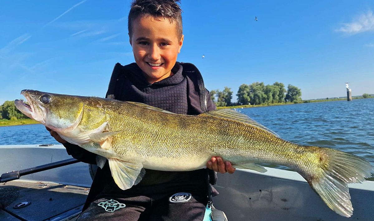 Nauta Visgids Roofvissen Nederland Snoek Roofvissen Snoekbaars Vistrip