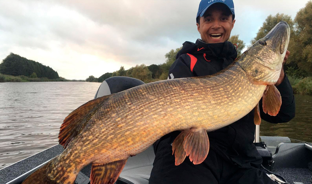 Nauta Visgids Roofvissen Nederland Snoek Snoek Snoekbaars 7