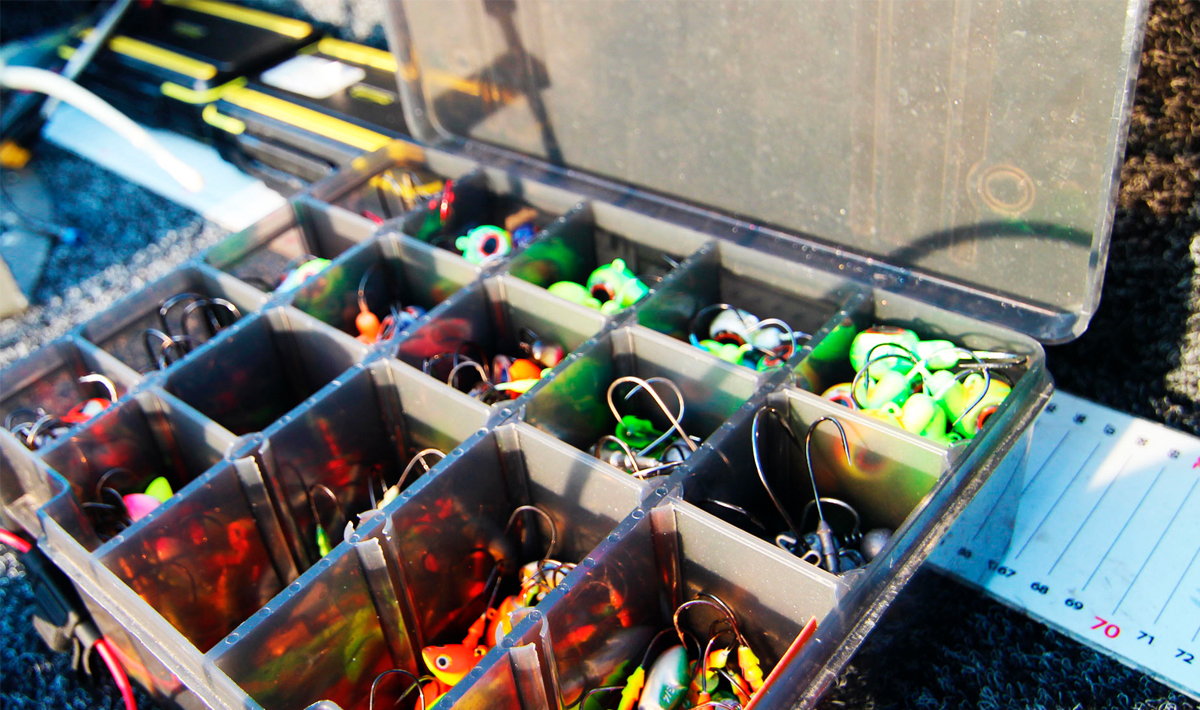 Nauta Visgids Roofvissen Nederland Snoek Visgids Snoekbaars Vistrip