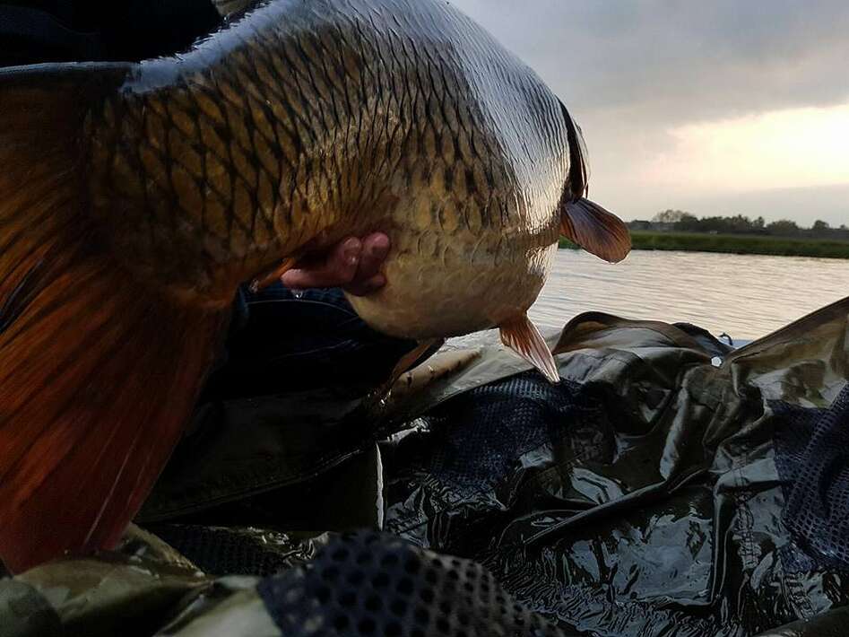 2017 Mei 4.2 2017 Mei 4.2