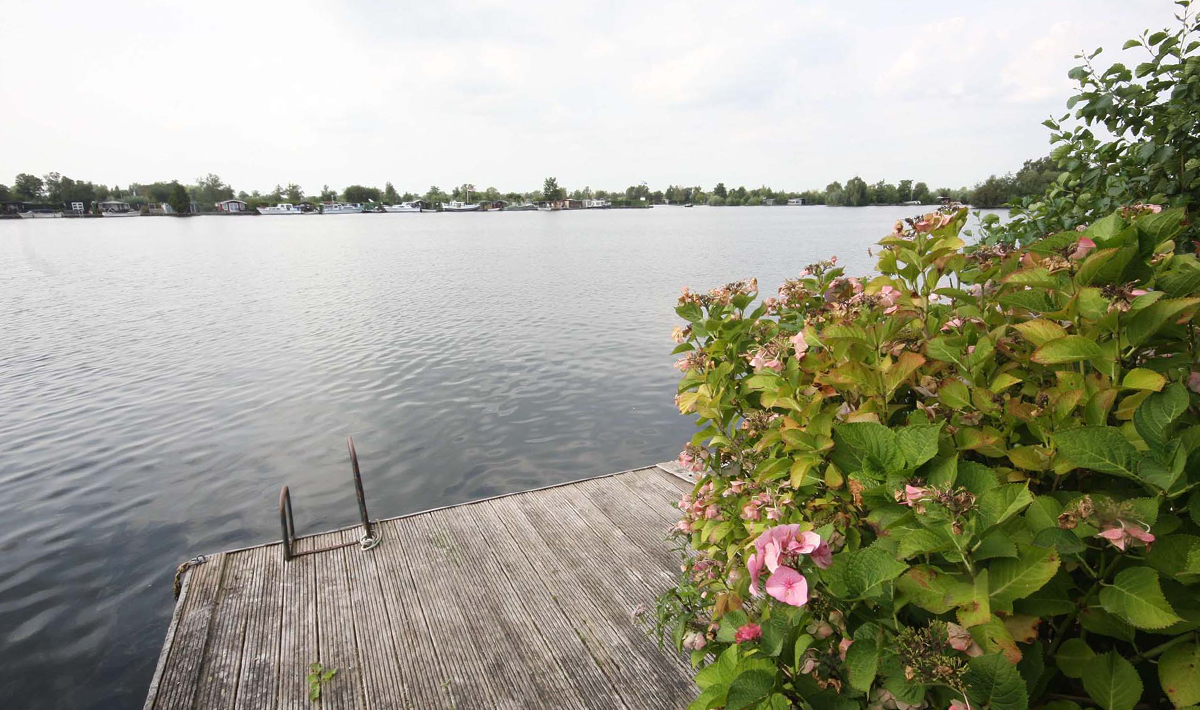 Vinkeveense Plassen Visvakantie Nederland Chalet Visvakantie Chalet 11