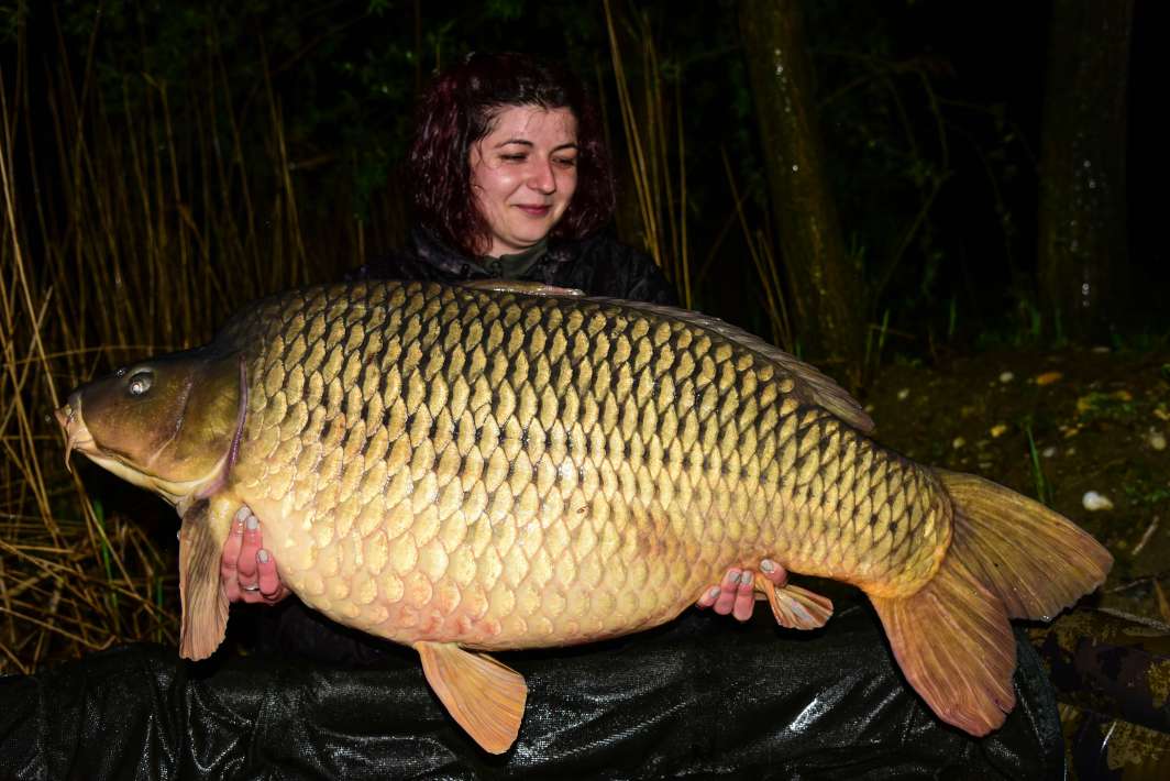 25.5kg Sector B 25.5kg Sector B