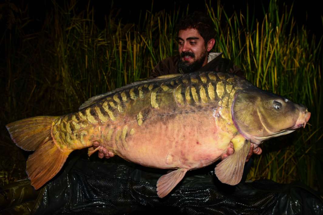 26.2kg Sector B 26.2kg Sector B