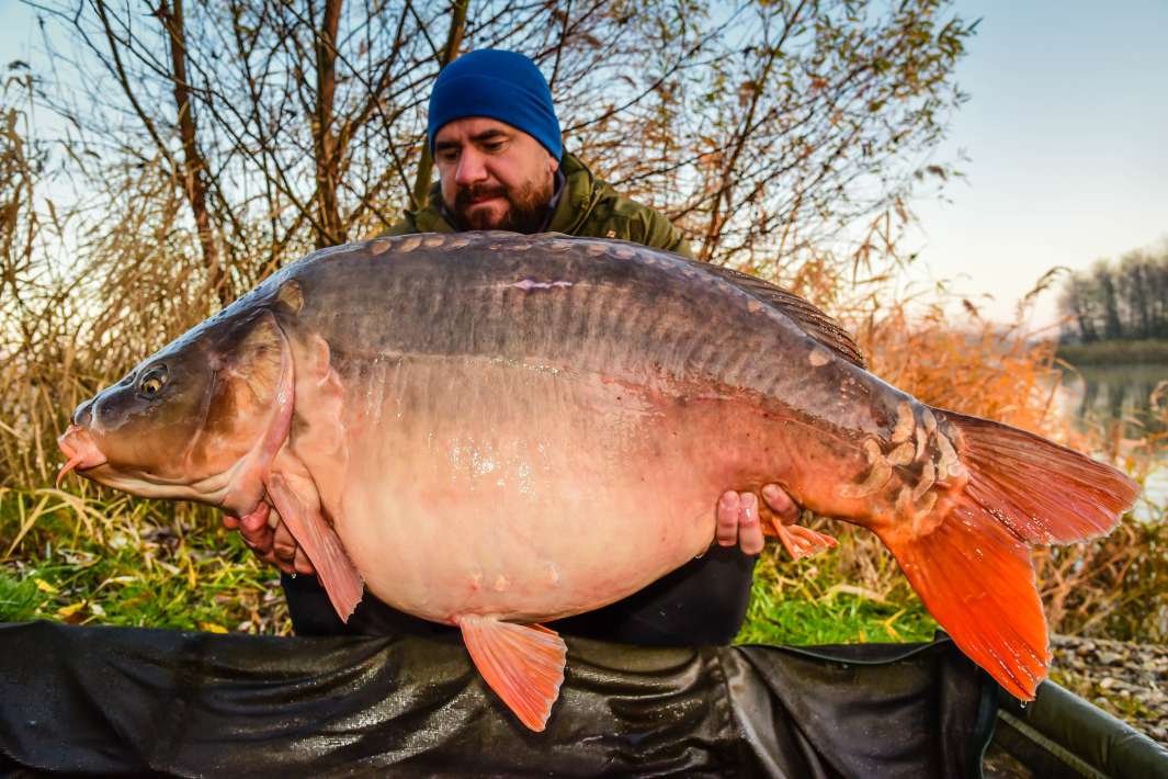 26.9kg Sector B 26.9kg Sector B