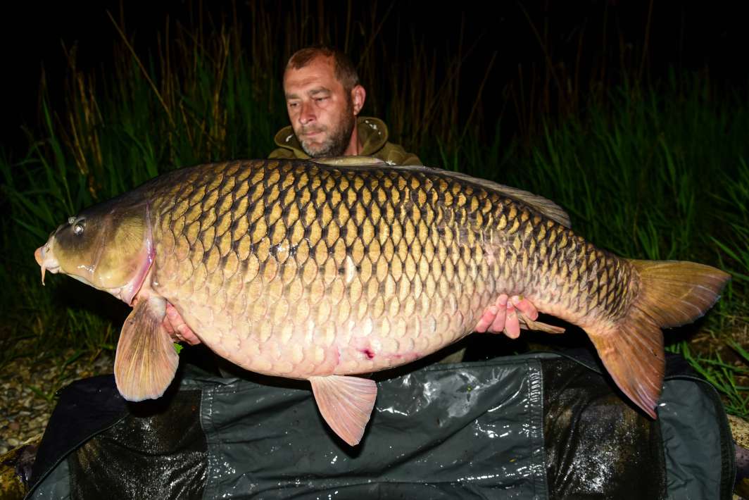 26kg Sector A 26kg Sector A