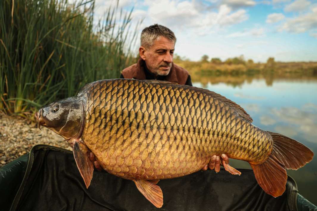 27kg Sector B 27kg Sector B