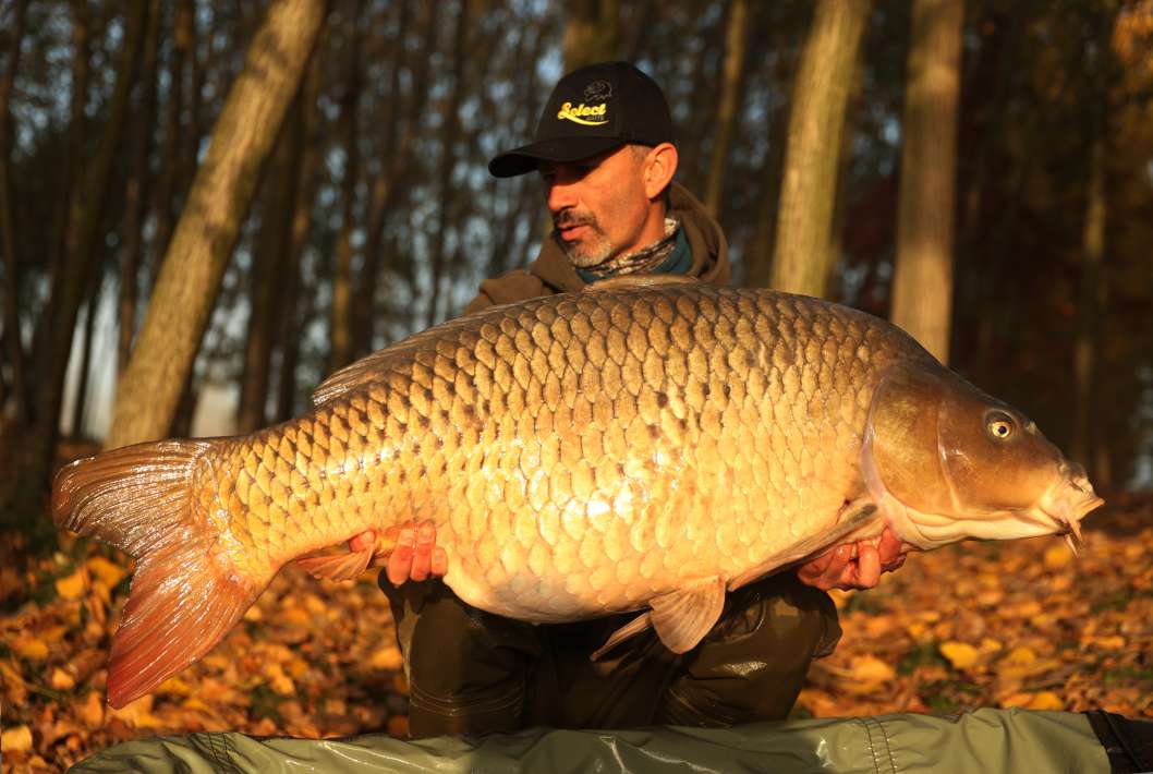 28kg Sector A 28kg Sector A