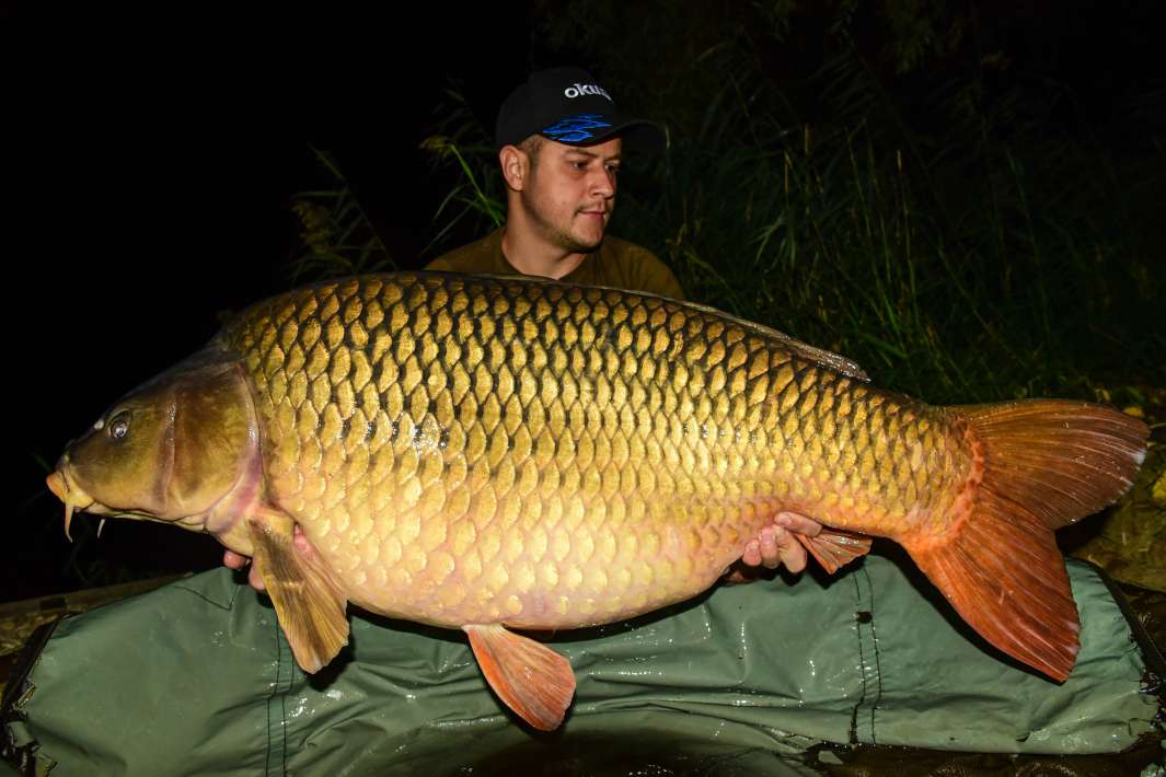 29.6kg Sector A 29.6kg Sector A