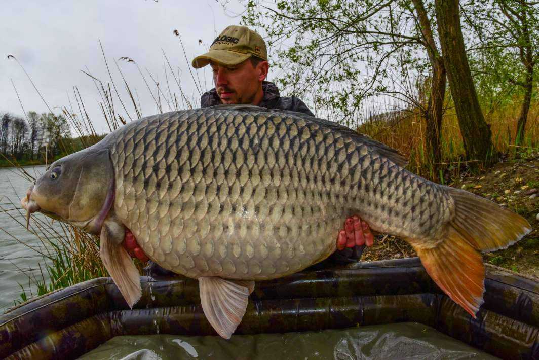 298kg Sector B 298kg Sector B