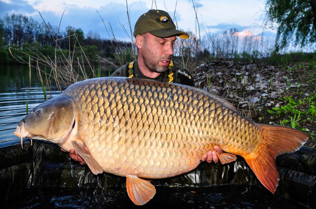 30.8kg Sector A 30.8kg Sector A