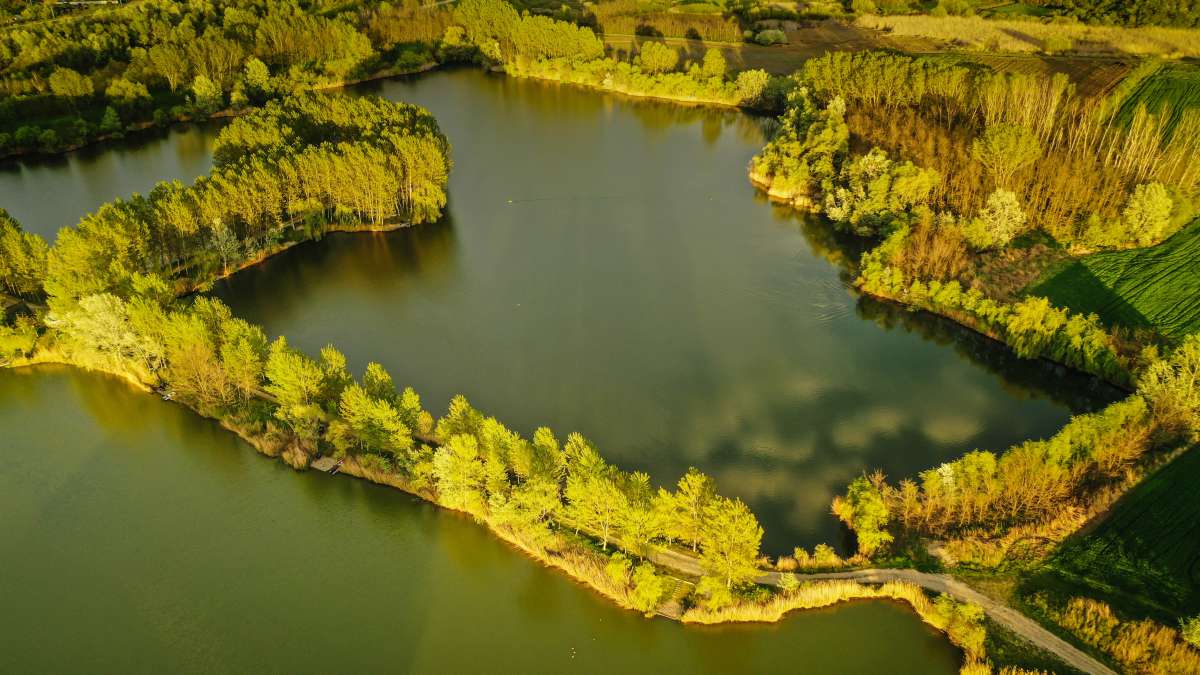 Varlaam Lake Sector A Landscape Sector A 1