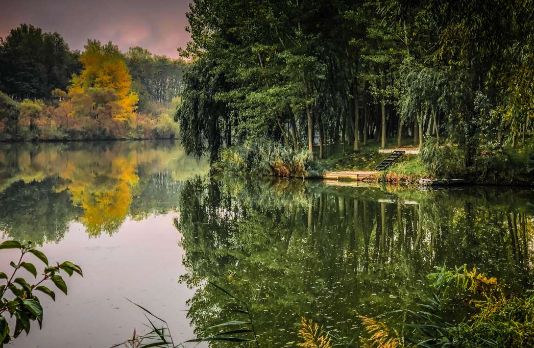 Varlaam Lake Sector A Landscape Varlaam Sector A