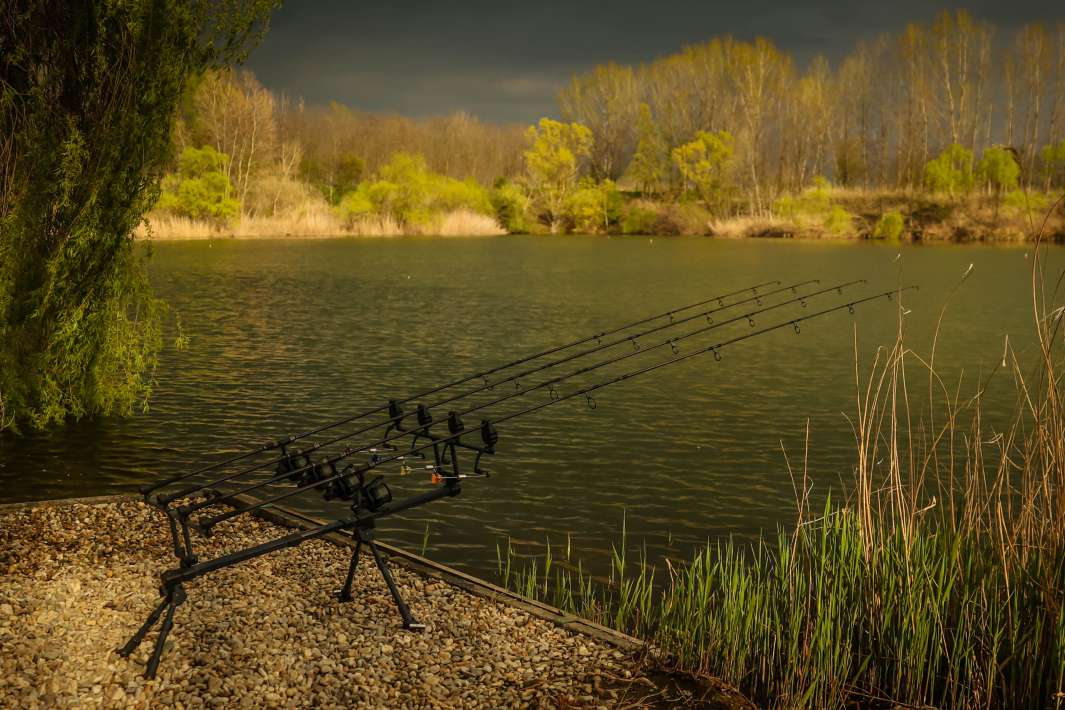 Varlaam Lake Sector A Landscape Varlaam Lake Sector