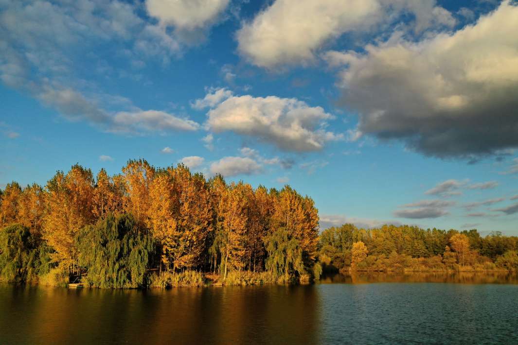 Varlaam Lake Sector A Landscape A Landscape 4