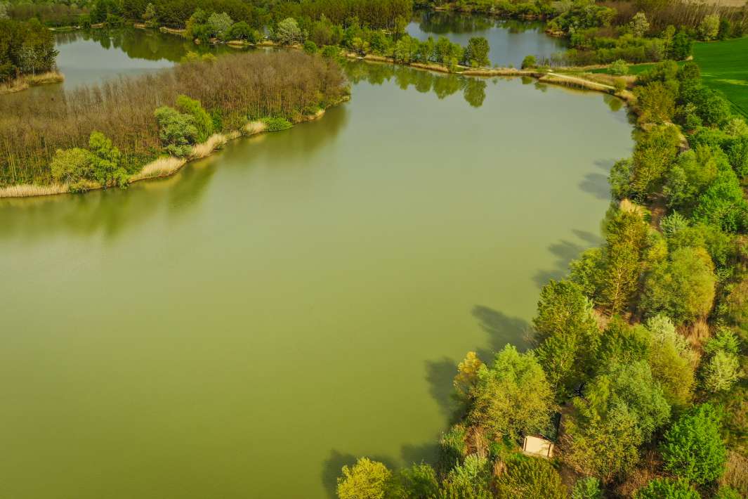Varlaam Lake Sector B Landscape Varlaam Sector B