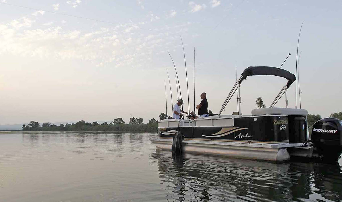 Boot Delta Ebro Meerval Vissen Ebro Bootvissen 1