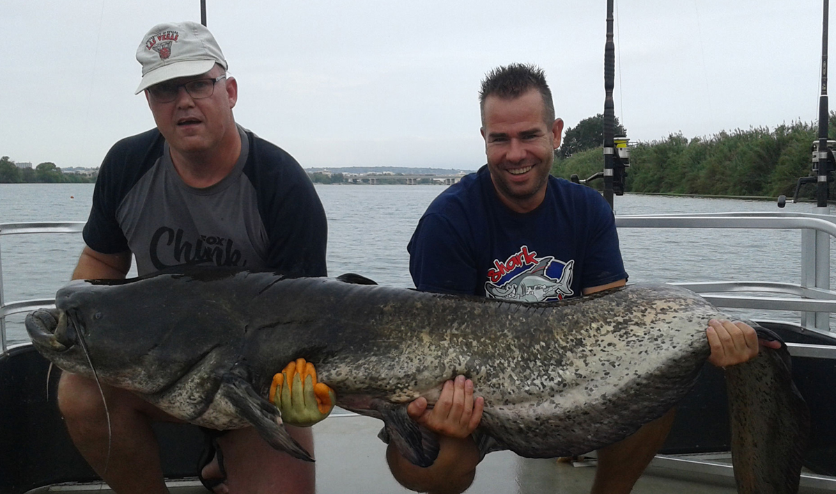 Meerval Delta Ebro Vissen Vakantie Delta Vissen 3