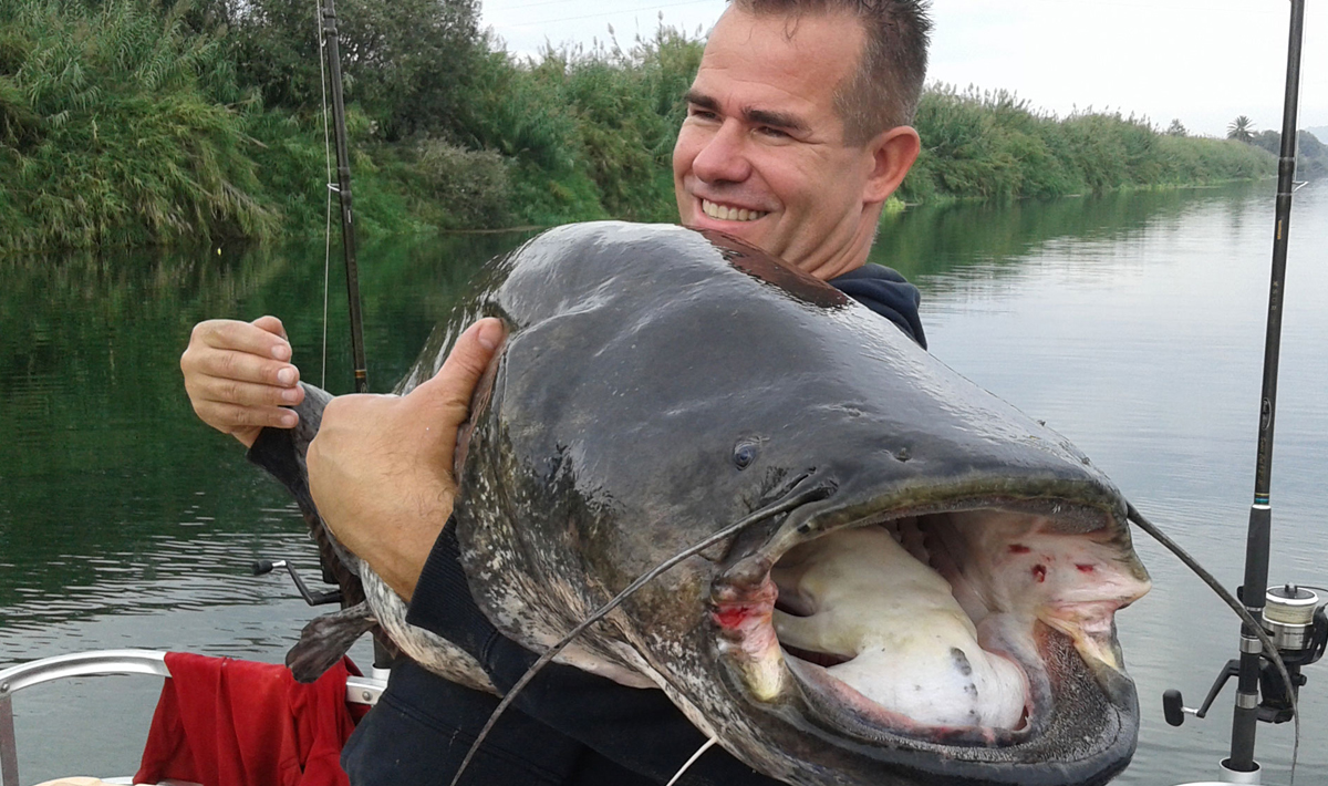 Meerval Delta Ebro Vissen Vakantie Delta Ebro Bootvissen