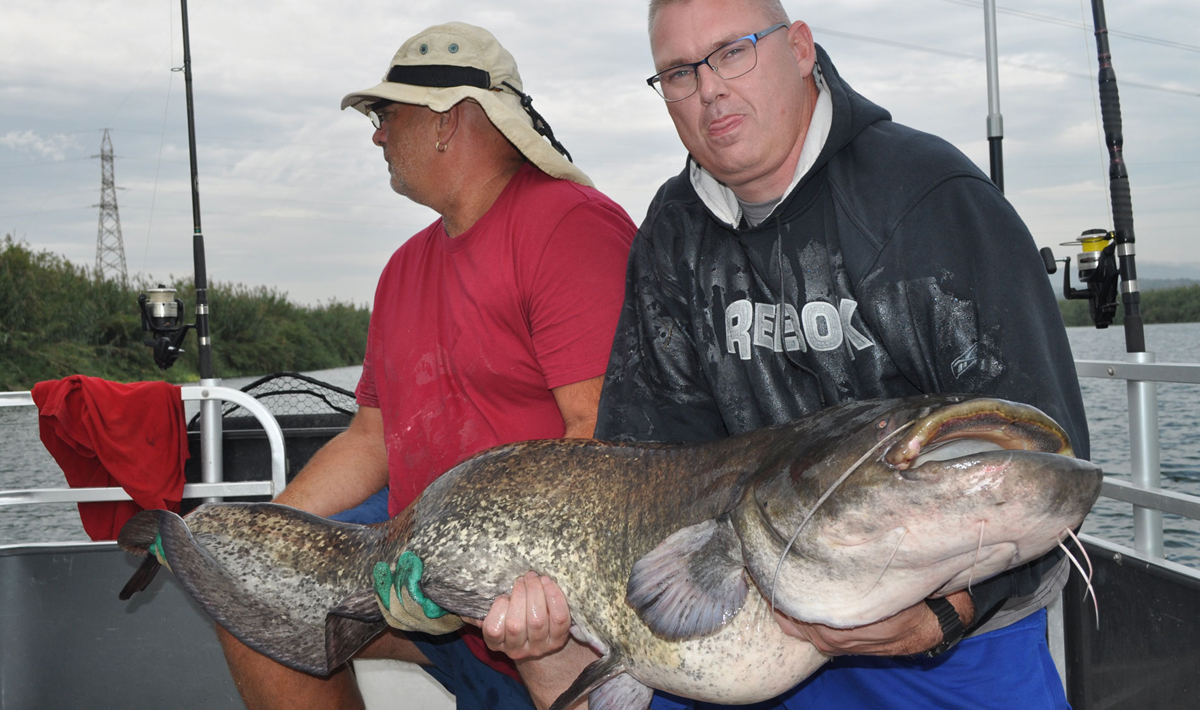 Meerval Delta Ebro Vissen Vakantie Delta Ebro 5