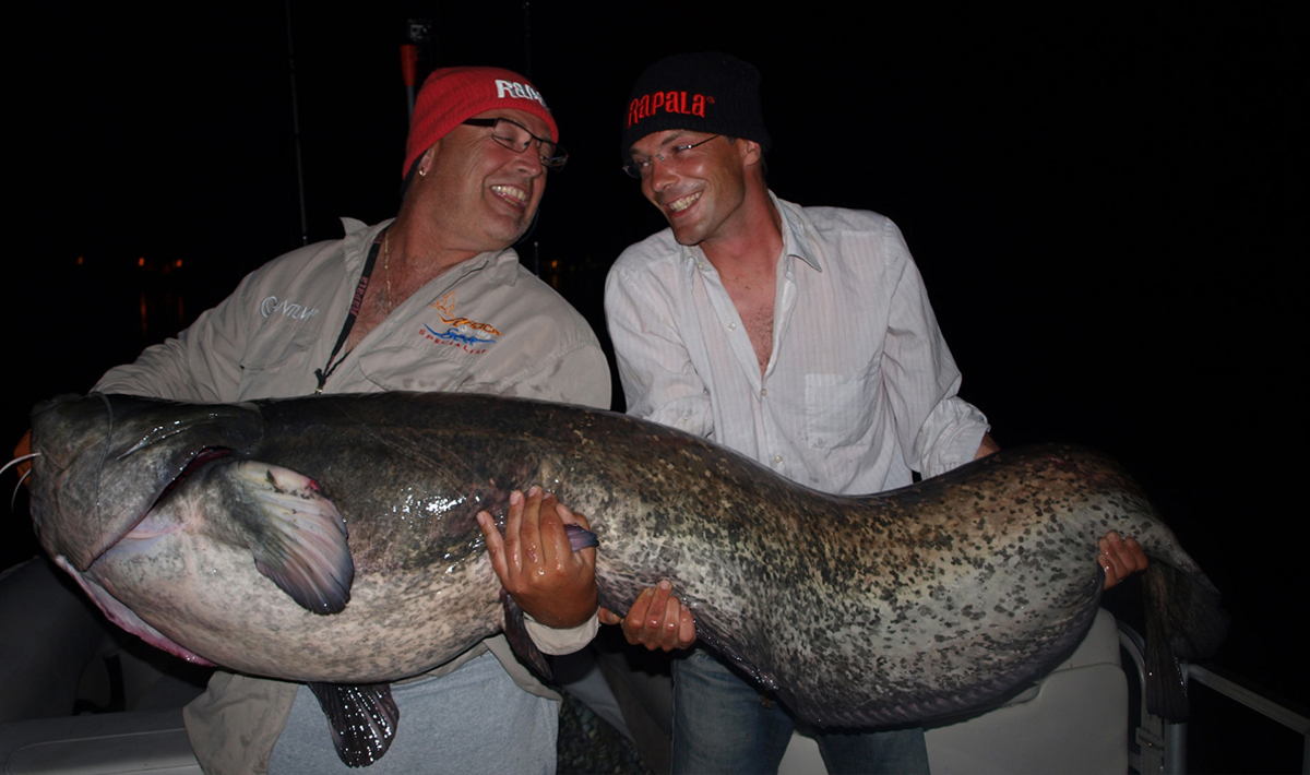 Meerval Delta Ebro Vissen Vakantie Ebro Vissen Bootvissen