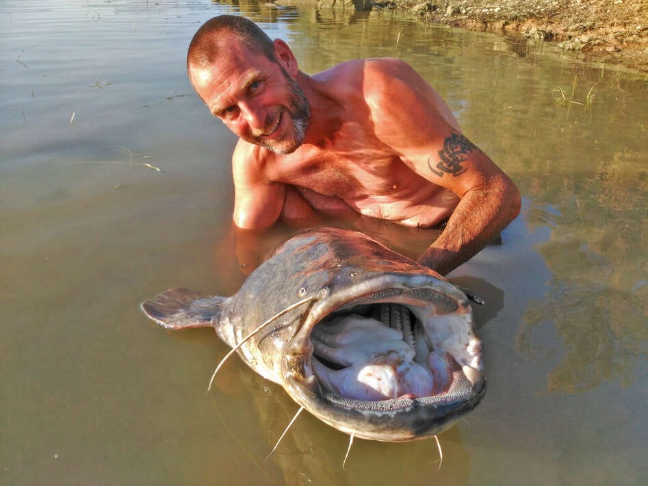 Ebro Deluxe Fishing Catfish 2 Ebro Deluxe 2