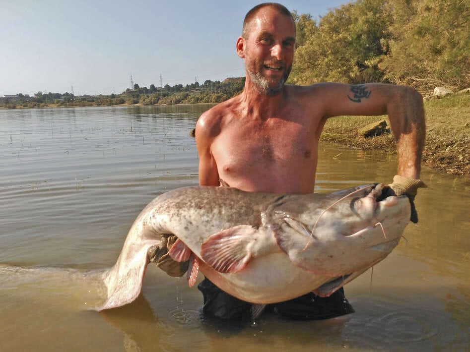 Ebro Deluxe Fishing Catfish 3 Deluxe Fishing 3