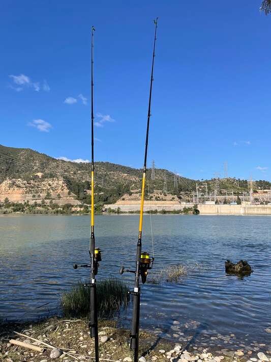 Ebro Deluxe Fishing Catfish Rods Ebro Deluxe Catfish