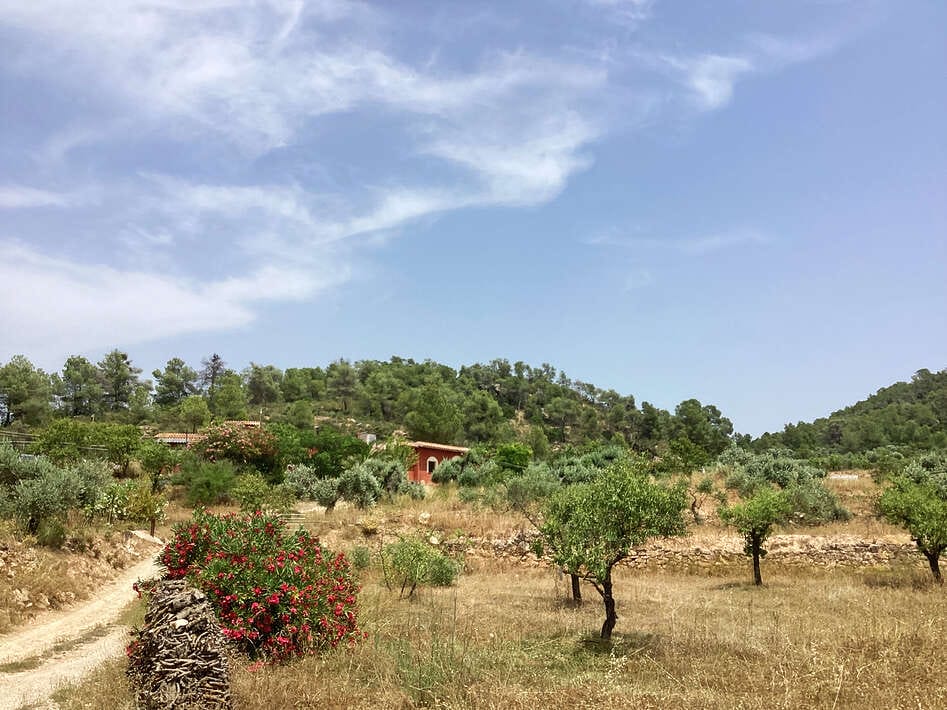 Ebro Deluxe Fishing Garden 2 Ebro Fishing 2