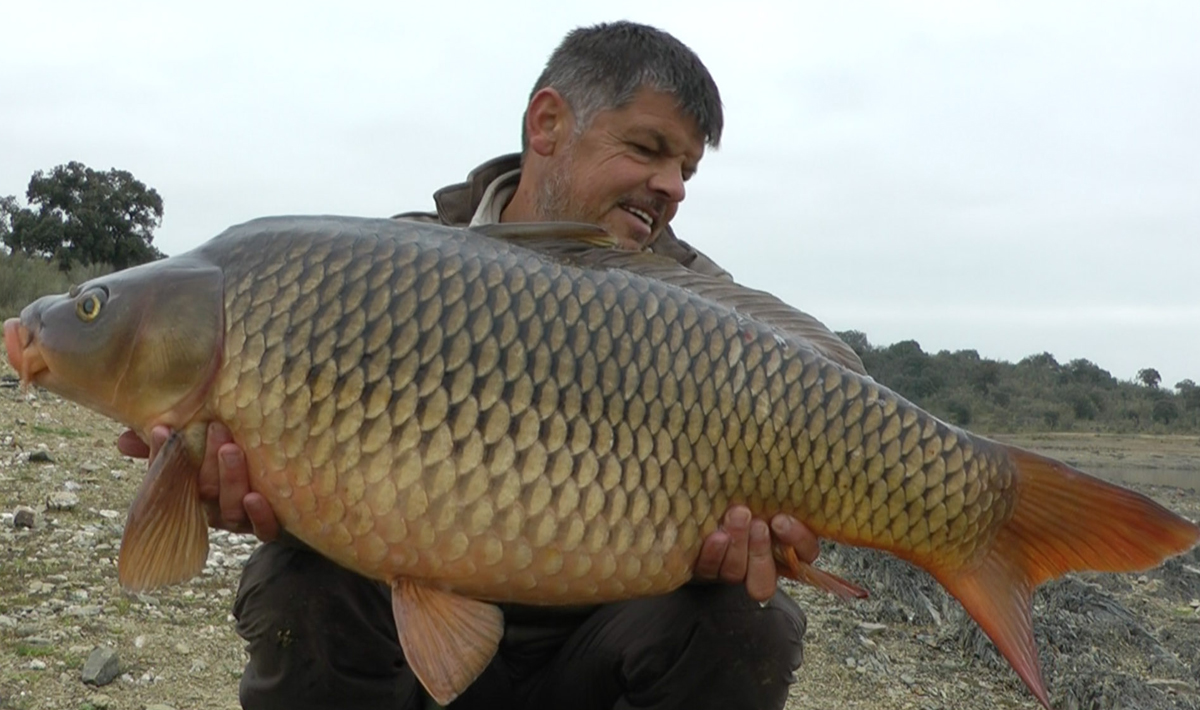 Karper Orellana Extremadura Spanje Karpervissen Karper Orellana Spanje