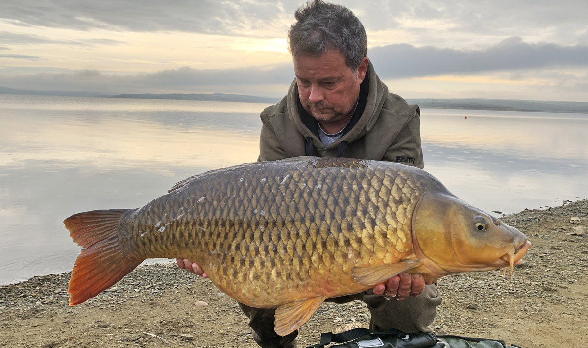 Karper Orellana Extremadura Spanje Karpervissen Extremadura Spanje Visvakantie